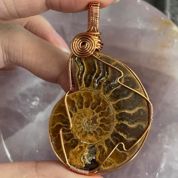 Ammonite fossil wire wrapped necklace - Picture 2 of 2